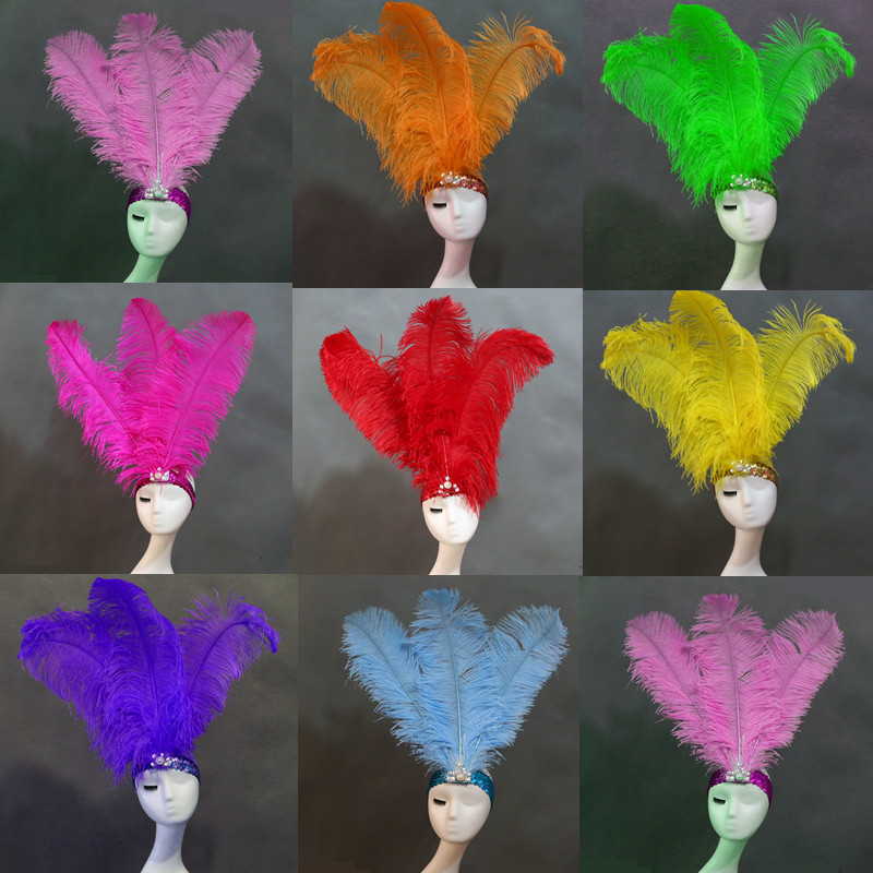 atmosphere Opening dance Feather headdress Samba dance stage show Ostrich feather Headdress Dance team Lead dancer Headdressin the Play mode/Anime/Periphery/cos/Board games , Meet/Magic Supplies , Gathering tools/Decoration , Headdress category - from Buy2taobao.com to provide professional Taobao agent buy service