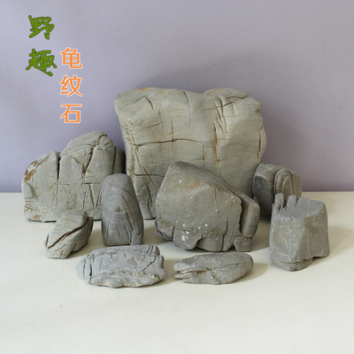 野趣 龟纹石天然山石水旱盆景造型小品摆件 鱼缸水族箱造景石材