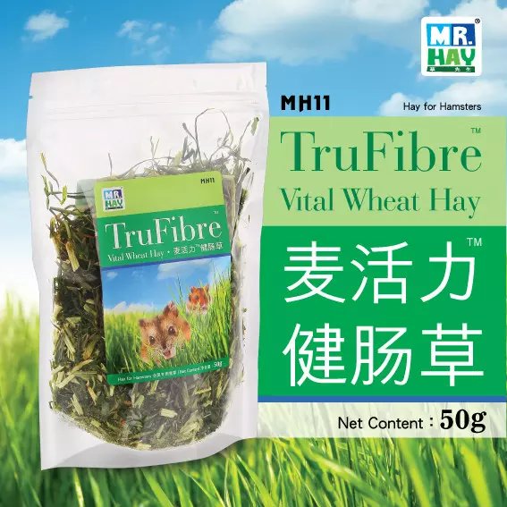MR.HAY草先生麦活力健肠草 50g 兔子龙猫豚鼠防腹泻牧草干草MH11在类目 宠物/宠物食品及用品, 兔类及其用品, 兔兔干草中 - 来自Buy2taobao.com提供专业的淘宝代购服务