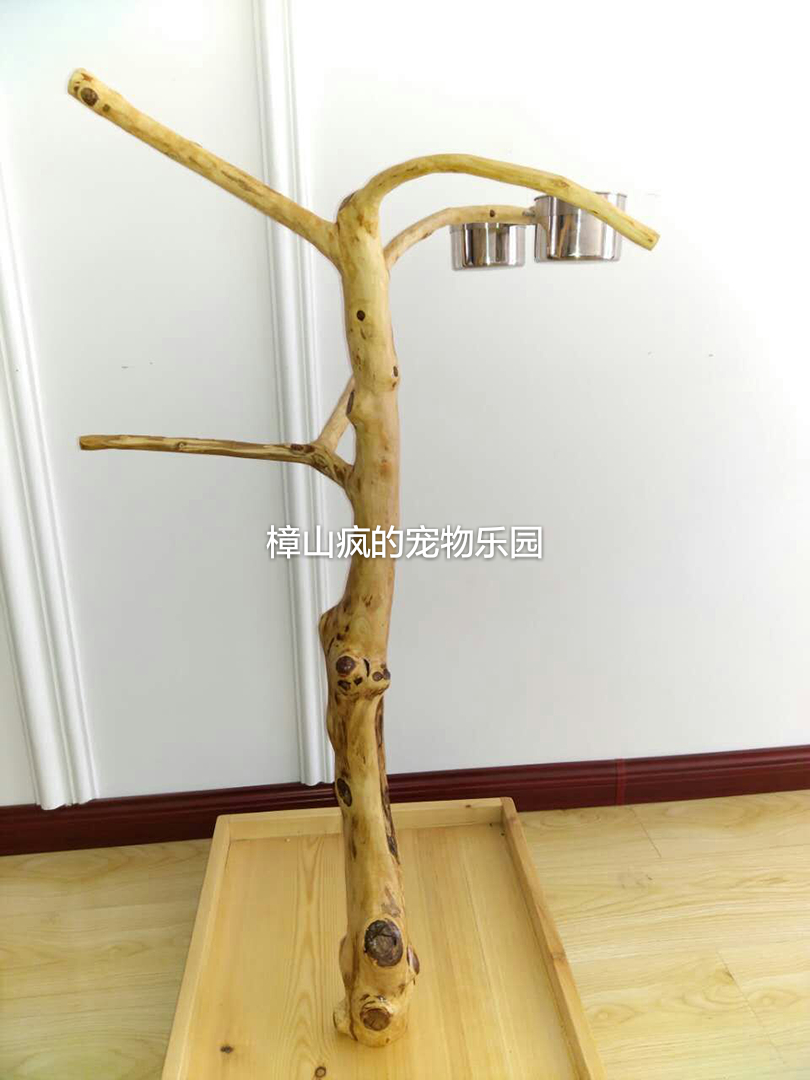 樟山疯手工定制大型实木整树灰鹦鹉金刚鹦鹉站架鸟站架站杠游戏树在类目 宠物/宠物食品及用品, 鸟类及用品, 鸟用具(新), 秋千中 - 来自Buy2taobao.com提供专业的淘宝代购服务