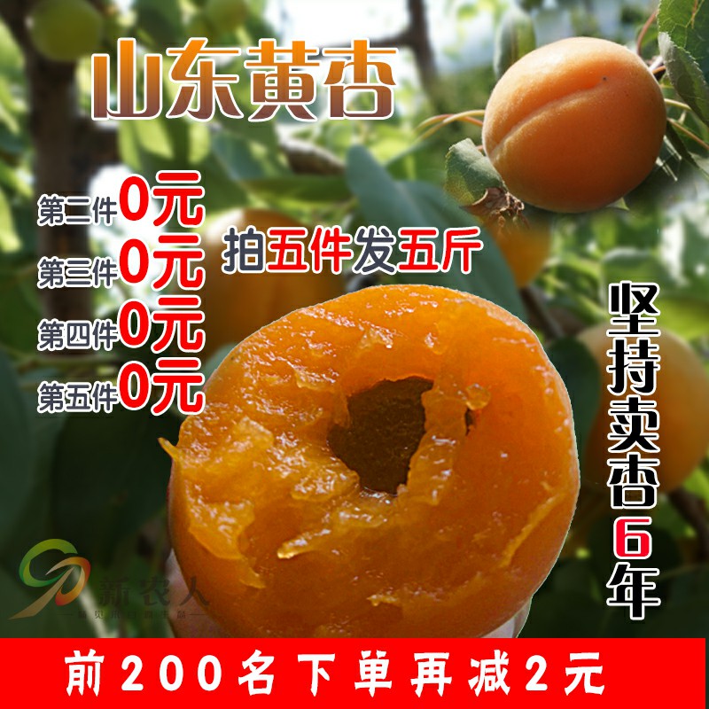 5斤現貨 杏子新鮮水果大黃杏應季孕婦水果杏梅當季水果整箱包郵在類目 水產肉類/新鮮蔬果/熟食, 新鮮水果, 其它中 - 來自Buy2taobao.com提供專業的淘寶代購服務