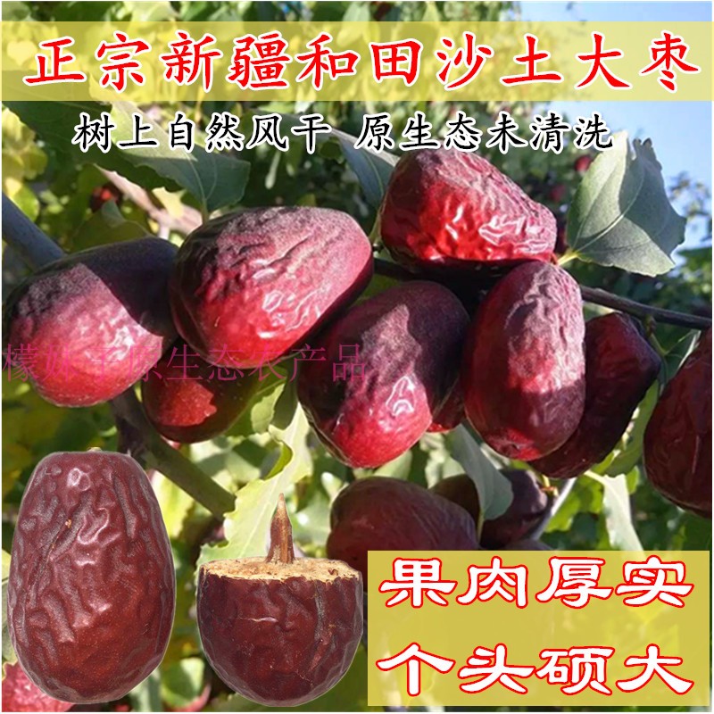 新疆沙土和田特一级大枣树上自然风干红枣骏枣子自产红枣500g包邮|ruв категории водной мясо/свежие фрукты и овощи/еда, свежие фрукты, финик - от Buy2taobao.com для оказания профессиональной услуги покупки агента Taobao
