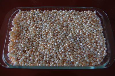 珍珠粒10克可磨珍珠粉散装小珍珠买三赠一|msdalam kategori barang kemas/berlian/Emerald/emas, mutiara asli (baru), lain - dari Buy2taobao.com untuk memberikan perkhidmatan ejen Taobao profesional membeli