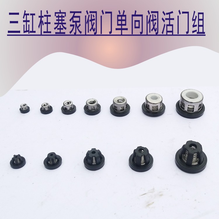 26/60/80/120型三缸柱塞打药泵配件吸水阀单向阀阀门活门组逆止阀在类目 鲜花速递/花卉仿真/绿植园艺, 园艺用品, 花园水泵中 - 来自Buy2taobao.com提供专业的淘宝代购服务