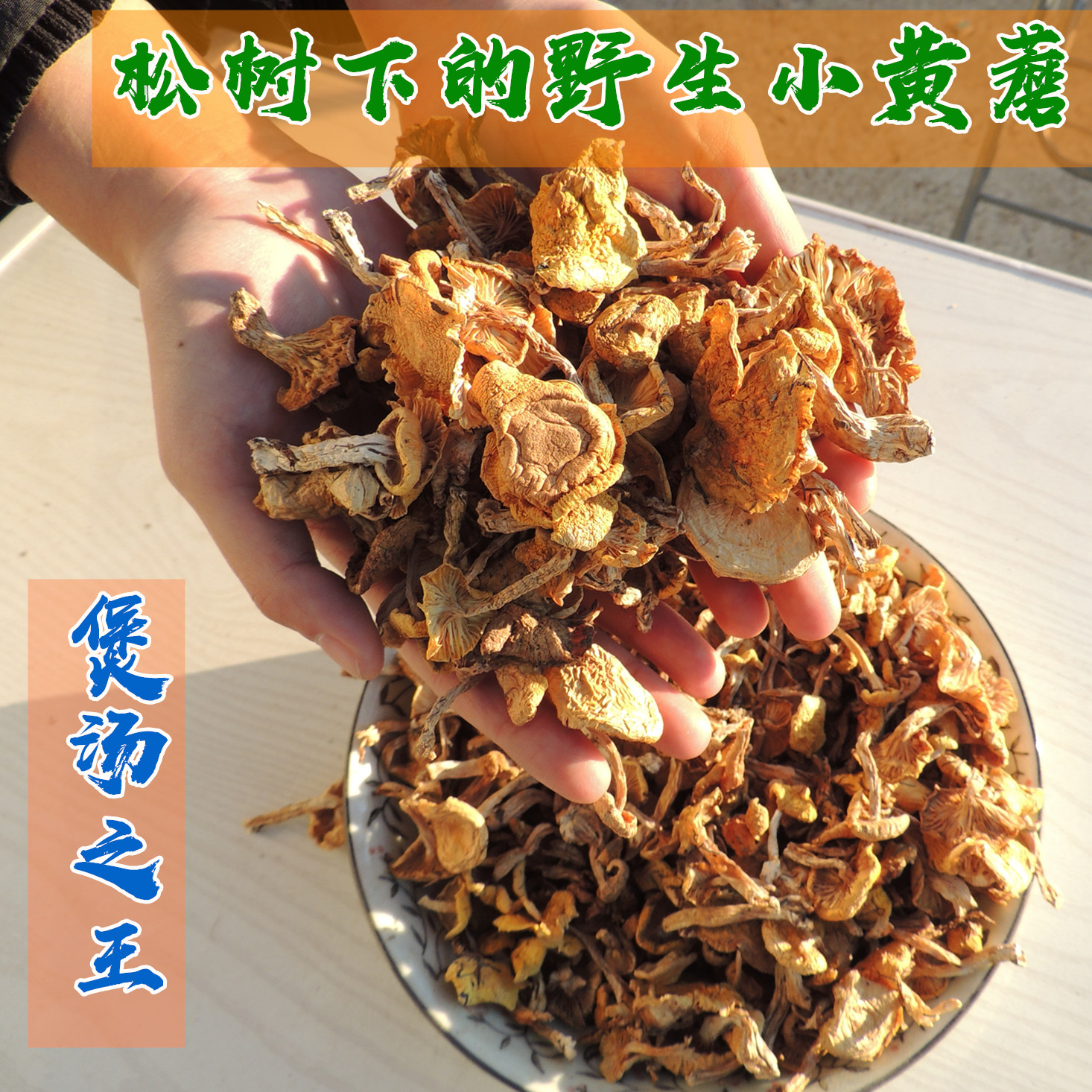 2018 Northeast wild Xiaohuang Mushroom Butter mushroom 250g Dry goods mushrooms Mushroom category Tasty and deliciousin the Agri rice/Dried foods/Condiment , Dried foods/Meat Dry , Dry/Native , Mushroom category category - from Buy2taobao.com to provide professional Taobao agent buy service