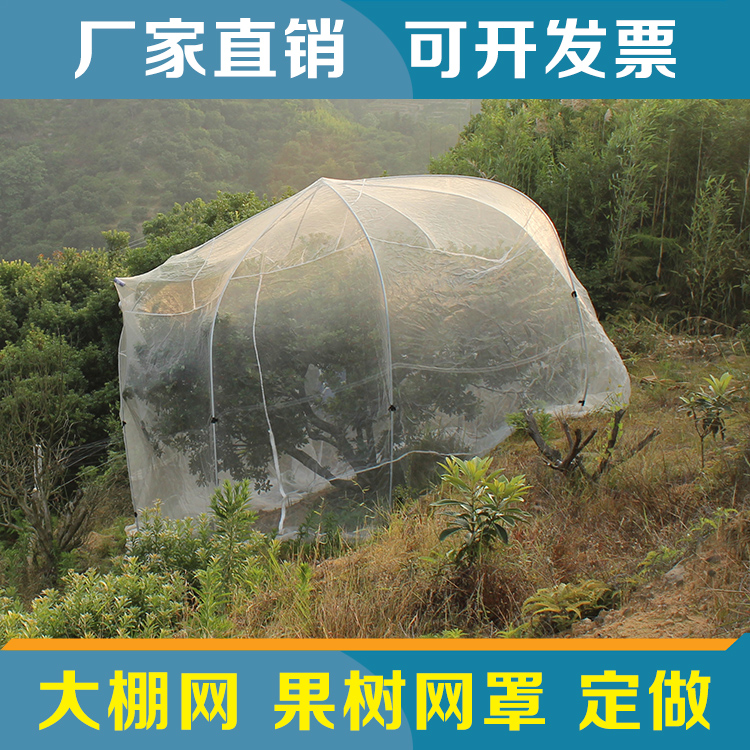廠家直銷農用防蟲網 花卉果樹蔬菜臍橙葡萄楊梅尼龍網大棚防蟲網在類目 農機/農具/農膜, 農膜/篷布/遮網/大棚, 農用防蟲網中 - 來自Buy2taobao.com提供專業的淘寶代購服務