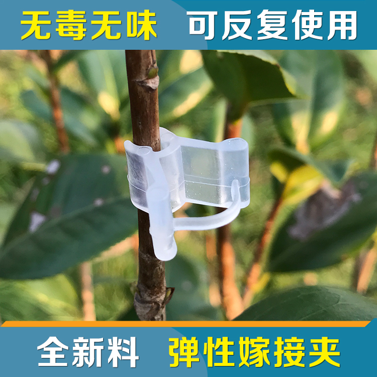 植物蔬菜瓜果專用嫁接夾 黃瓜西瓜番茄 軟質園藝彈性育苗夾100個在類目 鮮花速遞/花卉仿真/綠植園藝, 園藝用品, 其它園藝用品中 - 來自Buy2taobao.com提供專業的淘寶代購服務