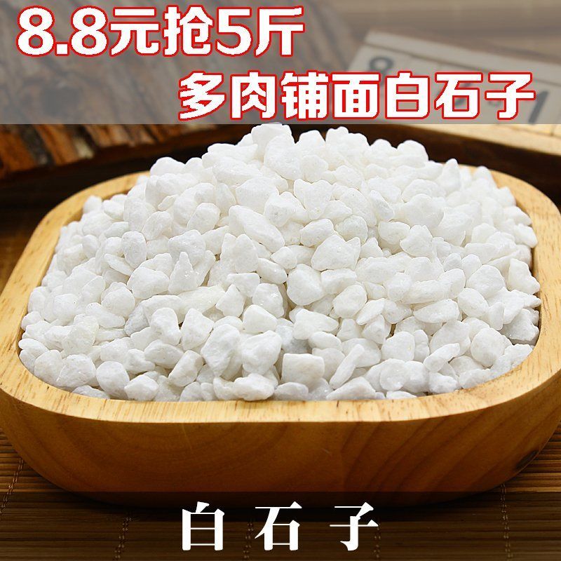 包郵園藝用品多肉植物鋪面石子魚缸白色石頭組盆白玉石魚缸擺件在類目 鮮花速遞/花卉仿真/綠植園藝, 園藝用品, 其它園藝用品中 - 來自Buy2taobao.com提供專業的淘寶代購服務