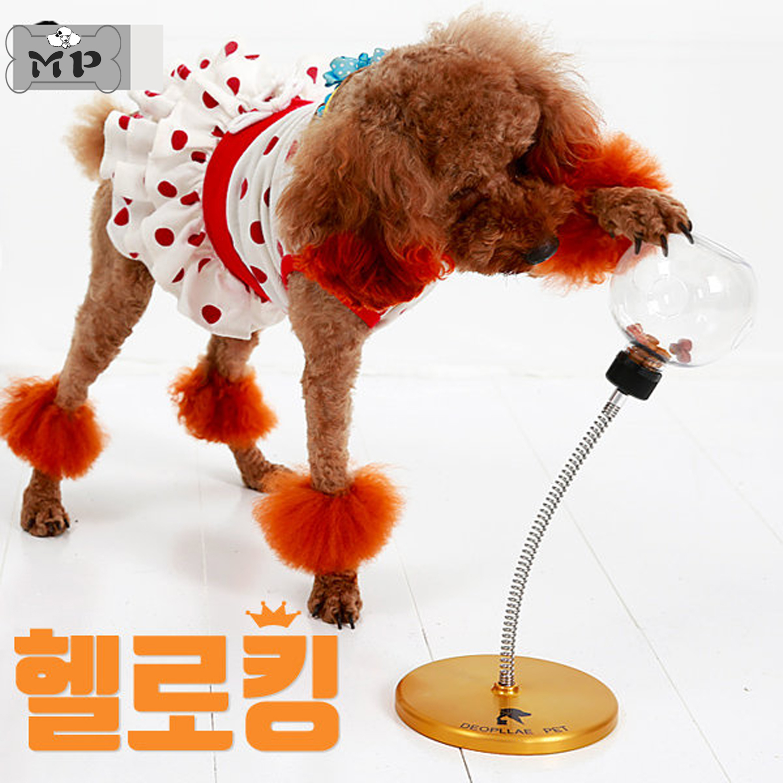 『Memory Pet』韓國代購寵物狗狗玻璃彈簧漏食球喂食玩具 送墊子在類目 寵物/寵物食品及用品, 貓/狗玩具, 漏食球中 - 來自Buy2taobao.com提供專業的淘寶代購服務