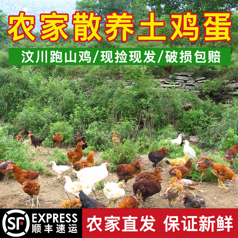 正宗土雞蛋農村自家散養新鮮天然30枚山草雞蛋毛雞蛋本笨柴雞蛋在類目 水產肉類/新鮮蔬果/熟食, 蛋/蛋製品, 鮮活蛋類, 雞蛋中 - 來自Buy2taobao.com提供專業的淘寶代購服務