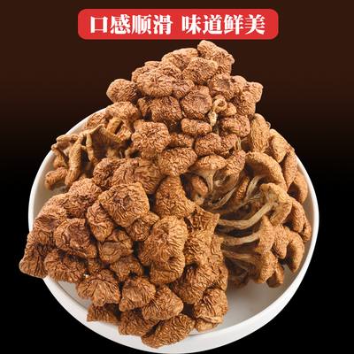 鲜烹烹 滑子菇干货 滑子蘑滑菇 蘑菇 煲汤美味 菌菇 食用菌 250g