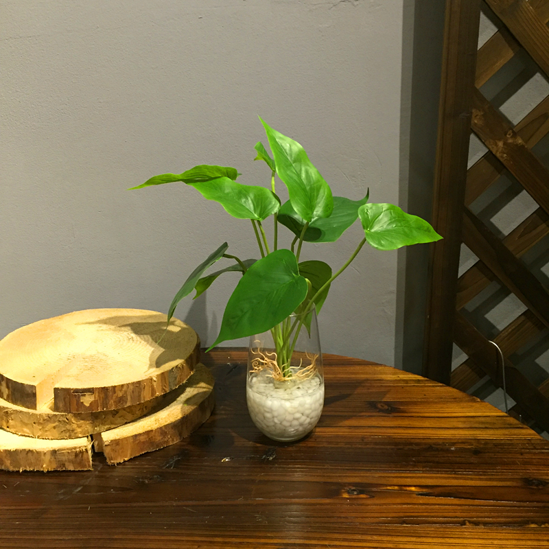 仿真假水花藝水培植物綠蘿小盆景客廳樣板房假花裝飾套裝在類目 家居飾品, 花瓶/花器/仿真花/仿真飾品, 仿真花/假花中 - 來自Buy2taobao.com提供專業的淘寶代購服務