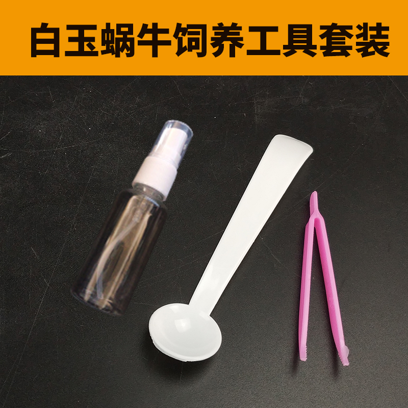 White jade Snail Raise Spout Clear Tweezers Plastic Feeding Spoon Watch Great Snail Spray kettle breed Tweezersin the Pet/Pet food and supplies , Other pets , Other pets category - from Buy2taobao.com to provide professional Taobao agent buy service