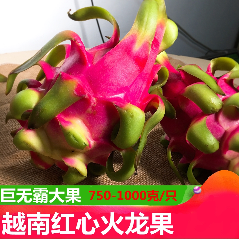进口水果 新鲜现货越南红心红肉火龙果非海南大果两只3斤促销包邮在类目 水产肉类/新鲜蔬果/熟食, 新鲜水果, 火龙果中 - 来自Buy2taobao.com提供专业的淘宝代购服务