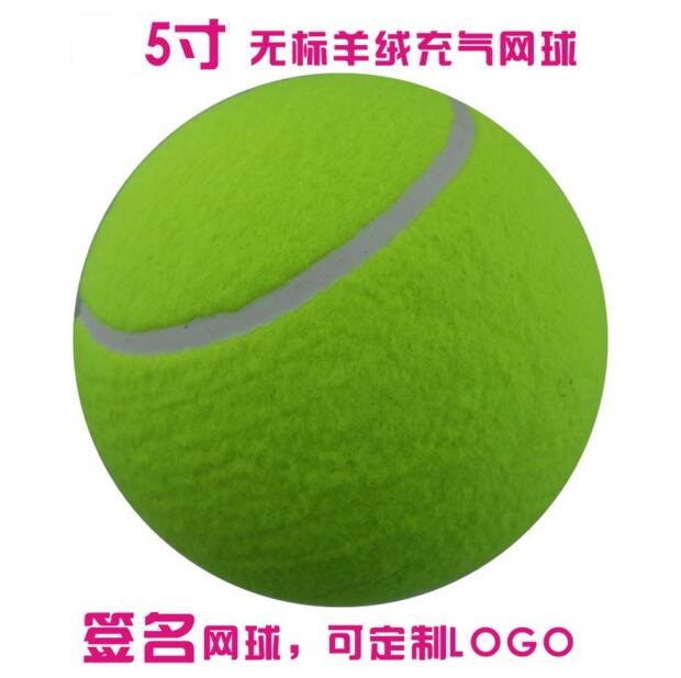 2019 new pattern 5 inch inflation Tennis diameter 13cm Dogs Elastic ball Golden Retriever Satsuma Pet Toysin the Sports/Yoga/Fitness/Fans supplies , Tennis , Memorial tennis tournament category - from Buy2taobao.com to provide professional Taobao agent buy service