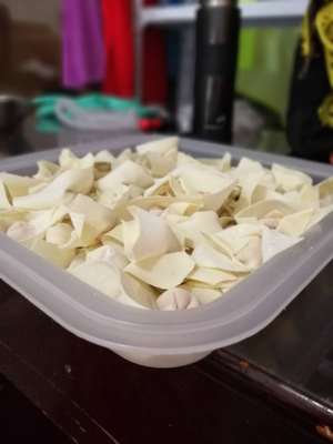 重庆包面云阳特产云安董氏 包面皮5斤装农家特色食品