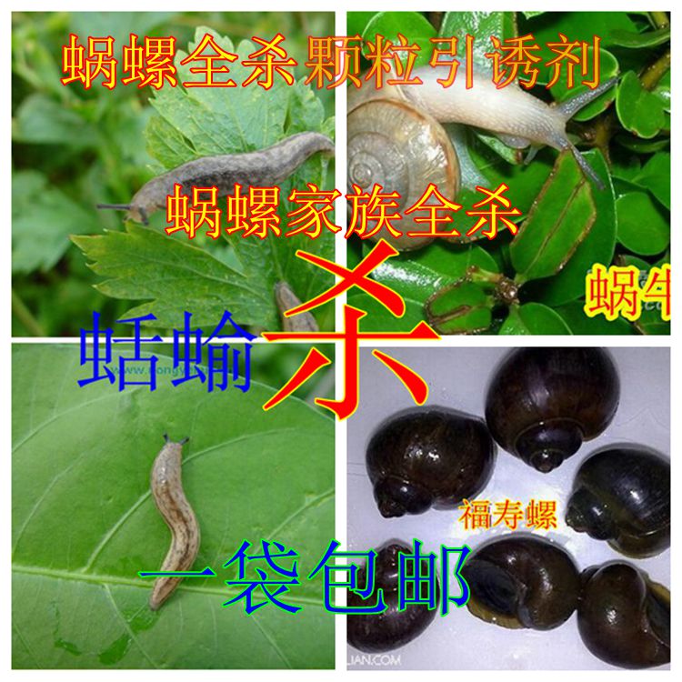 6% Acetaldehyde Snail Screw Slug Insecticide Snail Dedicated Granules Vegetable gardenin the Flower delivery/Flowers simulation/Plants gardening , Gardening supplies , Flower Pharmacy category - from Buy2taobao.com to provide professional Taobao agent buy service