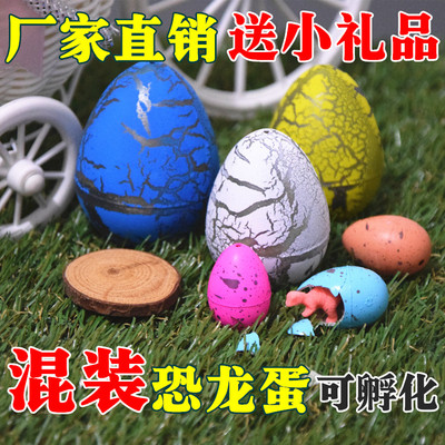 恐龙蛋孵化蛋玩具 儿童变形泡大泡水膨胀玩具 创意新奇小玩具批发