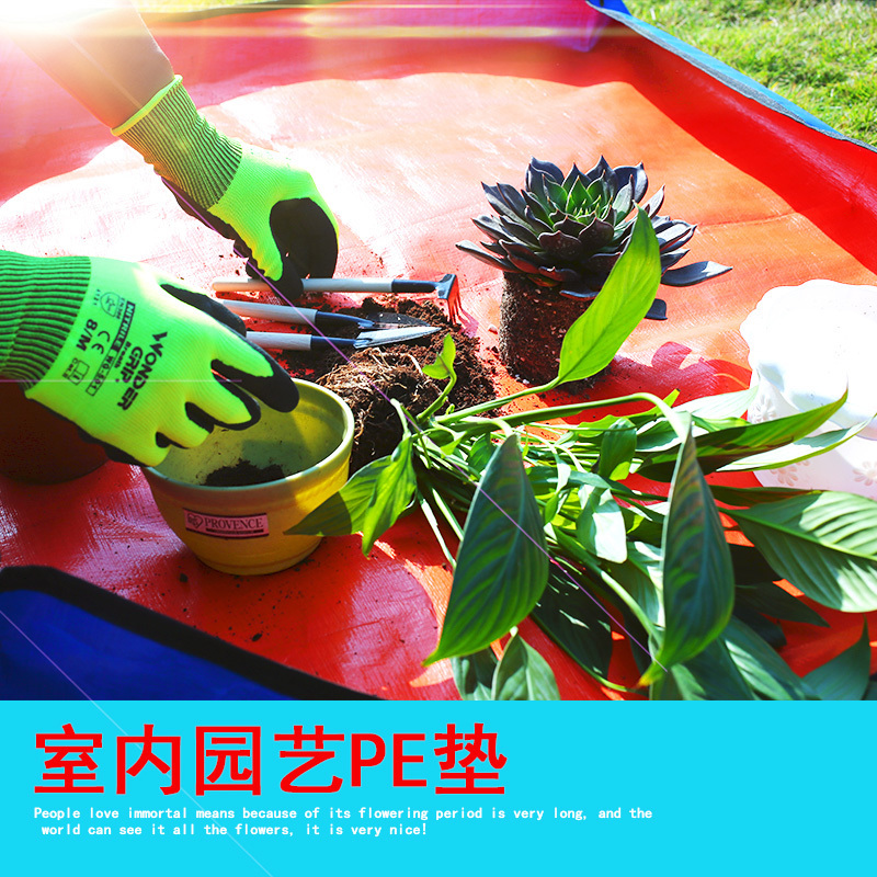 PE种植垫地垫阳台花盆垫防水垫椰砖花盆换土种植操作垫园艺工具在类目 鲜花速递/花卉仿真/绿植园艺, 园艺用品, 其它园艺用品中 - 来自Buy2taobao.com提供专业的淘宝代购服务