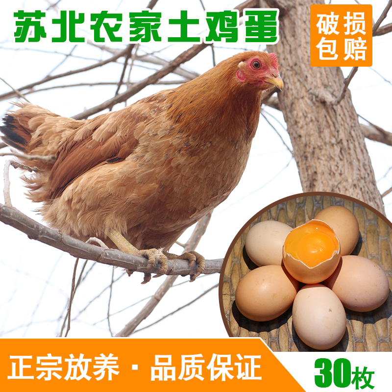 土鸡蛋农家散养新鲜草鸡蛋笨鸡蛋农村自养五谷鸡蛋正宗柴鸡蛋30枚在类目 水产肉类/新鲜蔬果/熟食, 蛋/蛋制品, 鲜活蛋类, 鸡蛋中 - 来自Buy2taobao.com提供专业的淘宝代购服务