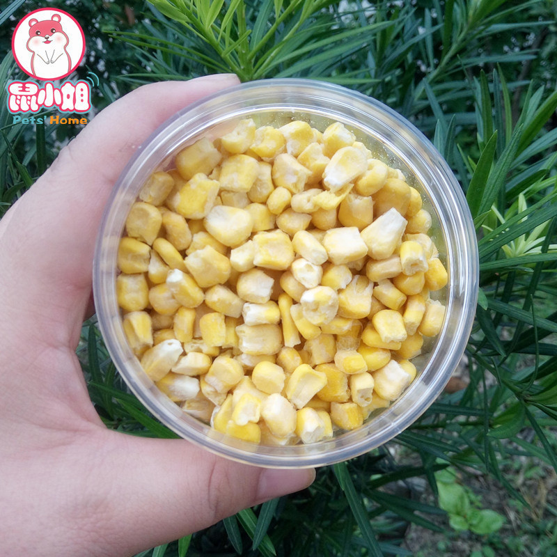 冻干甜玉米粒 天然无添加 仓鼠花枝通心粉 躺手零食 40g在类目 宠物/宠物食品及用品, 仓鼠类及其它小宠, 饲料/零食中 - 来自Buy2taobao.com提供专业的淘宝代购服务