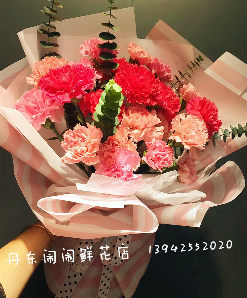 【康乃馨特价】丹东本地实体鲜花店/丹东鲜花快递/丹东母亲节订花|msdalam kategori penghantaran bunga/bunga simulasi/tumbuhan berkebun, penghantaran bunga (bandar) - dari Buy2taobao.com untuk memberikan perkhidmatan ejen Taobao profesional membeli