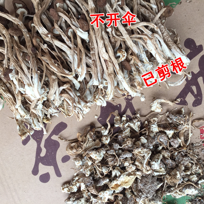 剪根茶树菇 干货 新鲜 已剪根 不开伞广昌茶薪菇香菇特产500g在类目 粮油米面/南北干货/调味品, 南北干货/肉类干货, 干货/土特产, 香菇类中 - 来自Buy2taobao.com提供专业的淘宝代购服务