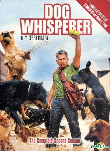 cesar millan 狗教官西萨米兰大全 68dvd