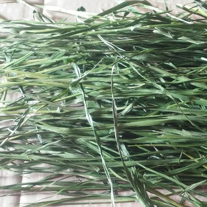 18 Dry Wheatgrass Hay rabbit Guinea pigs Guinea pigs Totoro Guinea pigs Pasture 350 G Nationalin the Pet/Pet food and supplies , Rabbits and supplies , Bunny hay category - from Buy2taobao.com to provide professional Taobao agent buy service