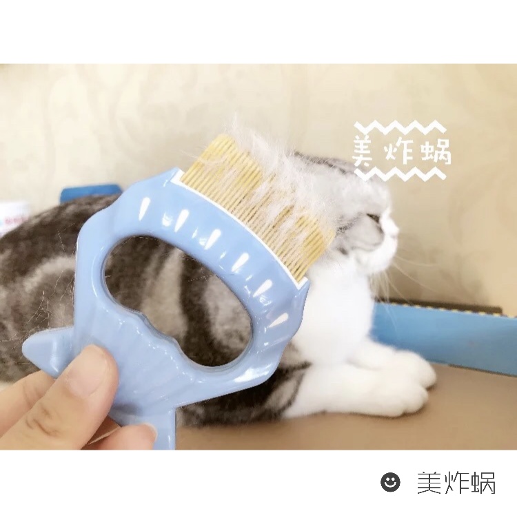 美尼蜗Goldpets宠物贝壳梳子 狗狗犬猫美容针梳 排梳开结梳在类目 宠物/宠物食品及用品, 猫/狗美容清洁用品, 针梳中 - 来自Buy2taobao.com提供专业的淘宝代购服务