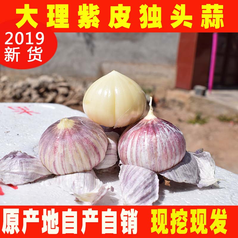 紫皮獨頭蒜農家5斤大個雲南大理紫皮大蒜頭新鮮鮮蒜新蒜臘八蒜頭在類目 水產肉類/新鮮蔬果/熟食, 新鮮蔬菜/蔬菜製品, 大蒜中 - 來自Buy2taobao.com提供專業的淘寶代購服務