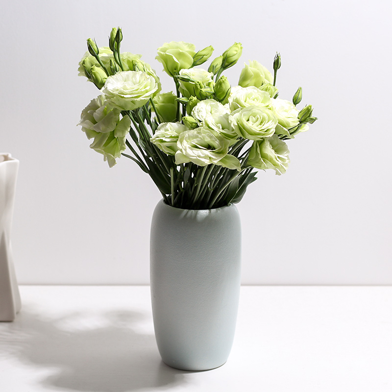 昆明鲜花批发云南基地直发洋桔梗鲜切花直批直供家用插花水养包月|msdalam kategori penghantaran bunga/bunga simulasi/tumbuhan berkebun, penghantaran bunga (bandar) - dari Buy2taobao.com untuk memberikan perkhidmatan ejen Taobao profesional membeli