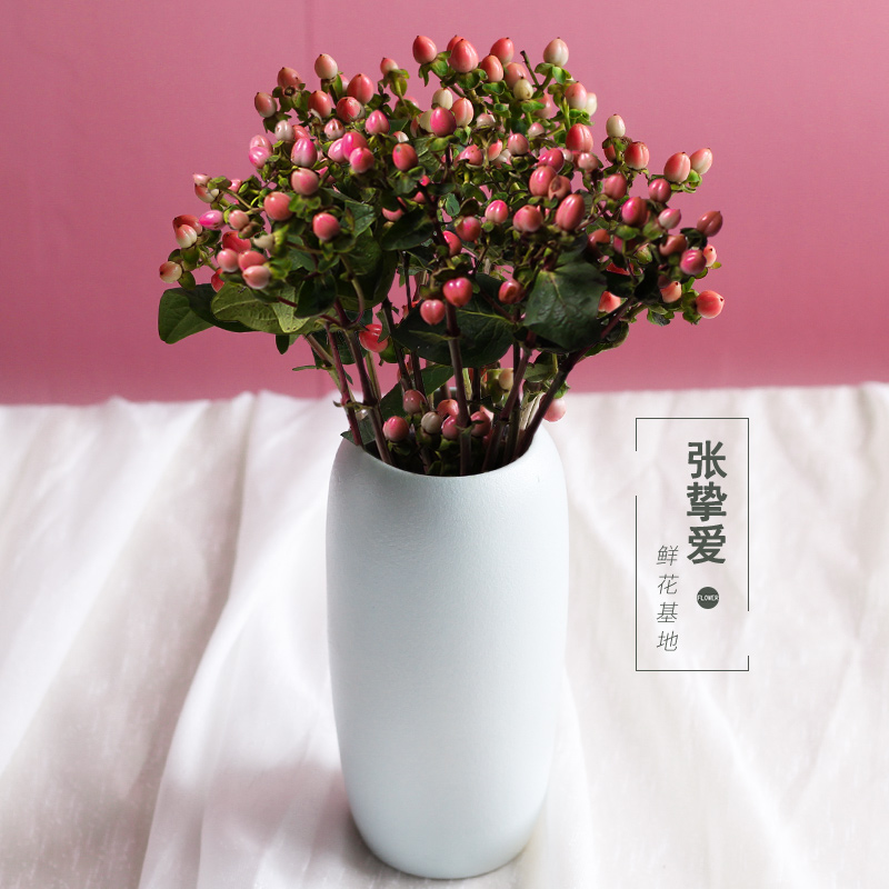 昆明鲜花批发云南基地直发红豆鲜切花直批直供家用插花水养包月|msdalam kategori penghantaran bunga/bunga simulasi/tumbuhan berkebun, penghantaran bunga (bandar) - dari Buy2taobao.com untuk memberikan perkhidmatan ejen Taobao profesional membeli
