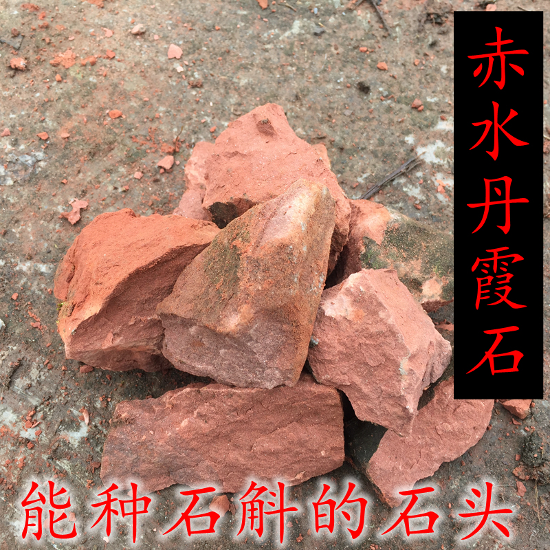 种植赤水野生金钗石斛的丹霞石头5斤一份蛇木板松树桩包邮在类目 鲜花速递/花卉仿真/绿植园艺, 园艺用品, 其它园艺用品中 - 来自Buy2taobao.com提供专业的淘宝代购服务