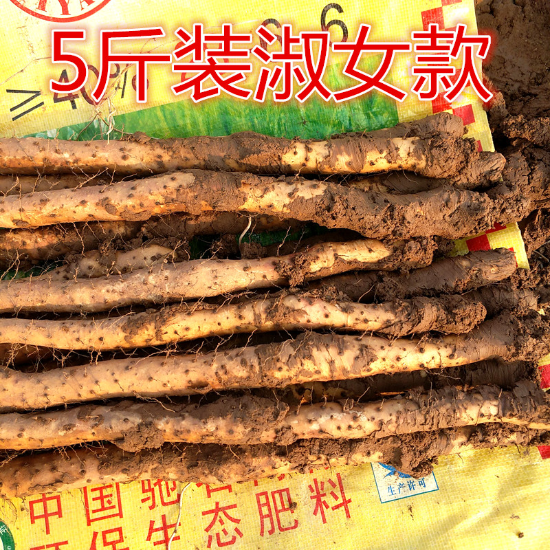 正宗河南焦作铁棍山药 温县垆土淮山药 怀山铁棒山约4.8斤装|ruв категории традиционные питательный пища, ям - от Buy2taobao.com для оказания профессиональной услуги покупки агента Taobao