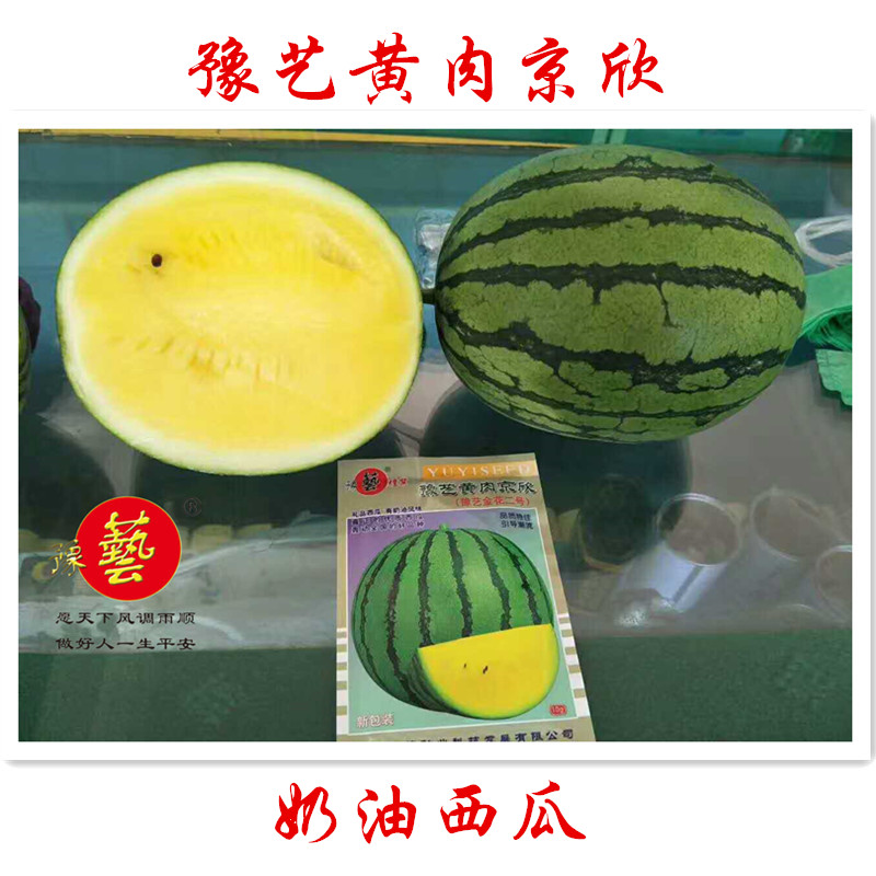 西瓜種籽豫藝種業黃肉京欣新機遇拳王菠蘿蜜無籽超甜早熟高産種子在類目 鮮花速遞/花卉仿真/綠植園藝, 花卉/蔬果/草坪種子(新), 家庭園藝種子中 - 來自Buy2taobao.com提供專業的淘寶代購服務