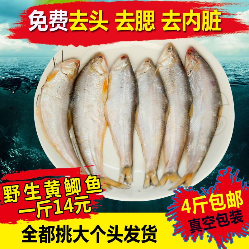 油煎油炸黃鲫魚小鹹魚海鮮幹貨海産幹毛扣魚油扣魚黃尖子馬口包郵在類目 水產肉類/新鮮蔬果/熟食, 海鮮/水產品/製品, 其它中 - 來自Buy2taobao.com提供專業的淘寶代購服務