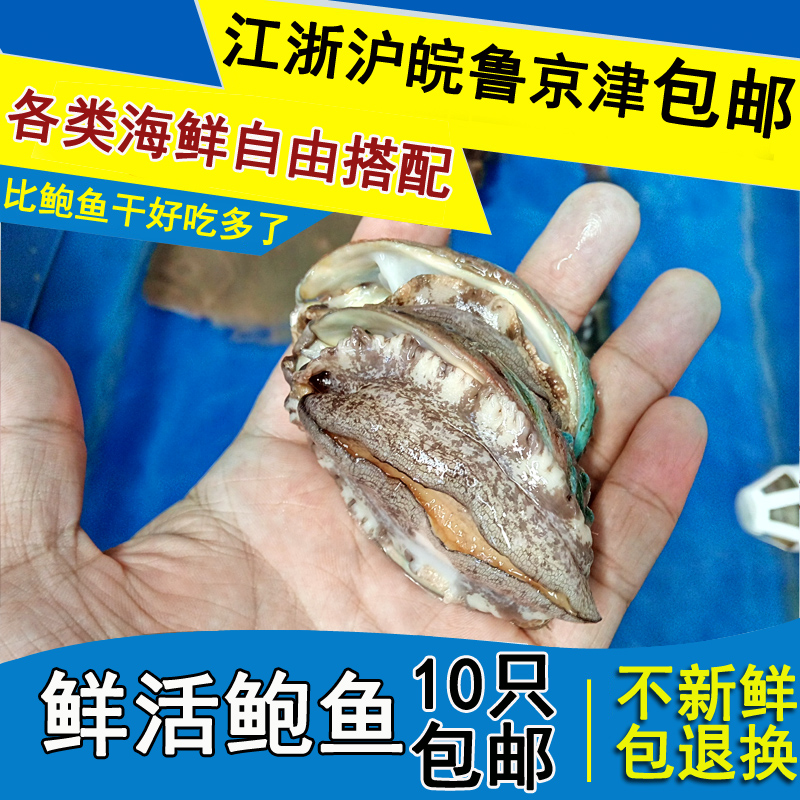 鲍鱼鲜活 大鲍鱼连云港鲜活活体鲍鱼 一份一个包新鲜包邮冷冻鲍鱼在类目 水产肉类/新鲜蔬果/熟食, 海鲜/水产品/制品, 贝类, 鲍鱼中 - 来自Buy2taobao.com提供专业的淘宝代购服务