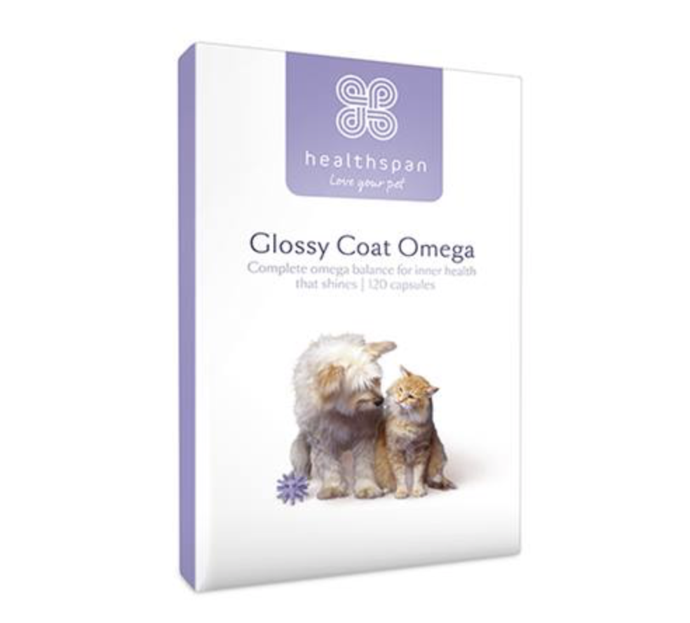 包邮英国现货Healthspan Glossy Coat Omega 猫狗通用鱼油在类目 宠物/宠物食品及用品, 猫/狗保健品中 - 来自Buy2taobao.com提供专业的淘宝代购服务