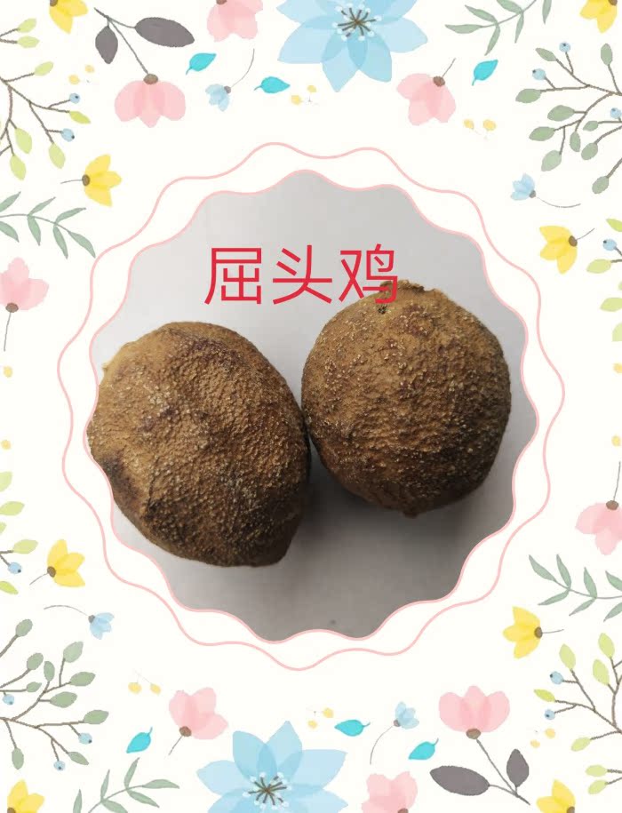 药材屈头鸡 正品马槟榔 马金南山槟榔 水鸡头 水鸡仔 500克包邮在类目 传统滋补营养品, 其他传统滋补品, 传统滋补品其他中 - 来自Buy2taobao.com提供专业的淘宝代购服务