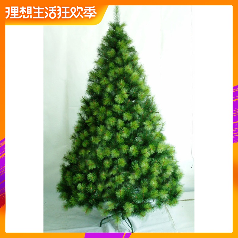 泓陽豪華180cm特別加密原創設計松針型聖誕樹鐵腳新品上市在類目 節慶用品/禮品, 聖誕用品/禮品/裝飾品, 聖誕樹中 - 來自Buy2taobao.com提供專業的淘寶代購服務