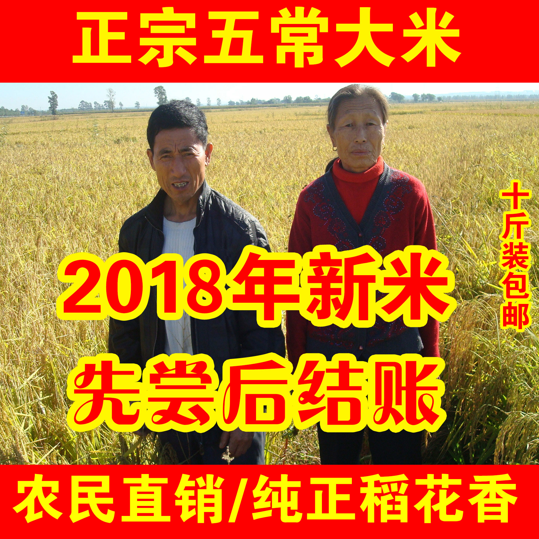 五常稻花香大米5kg農家自産2018年新米東北大米粳米10斤香米在類目 糧油米麪/南北乾貨/調味品, 米/麪粉/雜糧, 米類, 大米中 - 來自Buy2taobao.com提供專業的淘寶代購服務