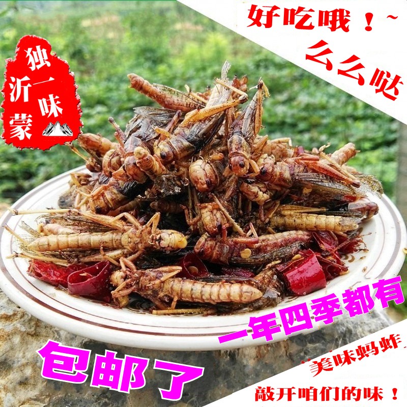 包邮!新鲜冷冻大蚂蚱昆虫蚱蜢蝗虫收到教您油炸香酥麻辣即食小吃在类目 粮油米面/南北干货/调味品, 南北干货/肉类干货, 干货/土特产, 其它中 - 来自Buy2taobao.com提供专业的淘宝代购服务