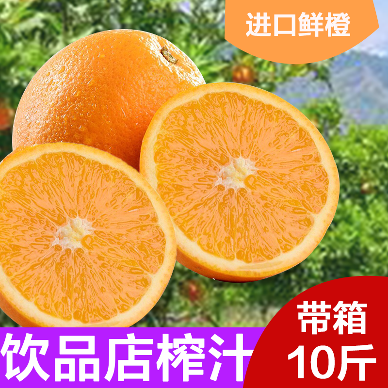 特价埃及脐橙新鲜水果包邮整带箱10斤当季橙子甜心橙手剥橙|msdalam kategori daging perikanan/Buah-buahan segar dan sayur-sayuran/dimasak, buah-buahan segar, Orange - dari Buy2taobao.com untuk memberikan perkhidmatan ejen Taobao profesional membeli