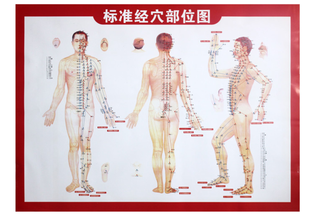 正品艾灸图人体经络图挂图|穴位图穴位挂图|附常用病例施灸|msdalam kategori Penjagaan diri/kesihatan/peralatan urut, Semua jenis aksesori, Meridian Health Care Accessories Equipment, Aksesori Moxa - dari Buy2taobao.com untuk memberikan perkhidmatan ejen Taobao profesional membeli