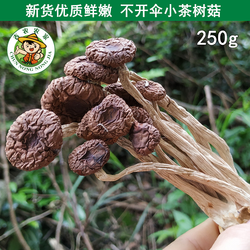 茶树菇干货 江西特产农家新鲜特级不开伞250g包邮 买2份发500g在类目 粮油米面/南北干货/调味品, 南北干货/肉类干货, 干货/土特产, 香菇类中 - 来自Buy2taobao.com提供专业的淘宝代购服务