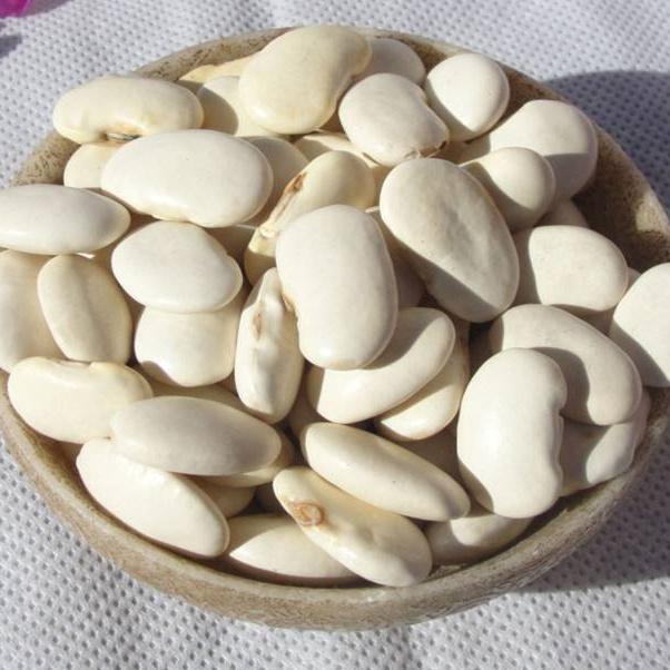 白芸豆农家自种500g 扁芸豆芸豆五谷杂粮全店满18元包邮在类目 粮油米面/南北干货/调味品, 米/面粉/杂粮, 豆类, 其它中 - 来自Buy2taobao.com提供专业的淘宝代购服务