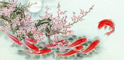 国画字画风水花鸟九鱼图太极转运红梅花全红鱼旺财图红鲤连年有余