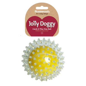 Britain Rosewood Pet Toys Dog toys Prickly ball Tennis football Luminous ballsin the Pet/Pet food and supplies , Cat/Dog Toys , Rubber Ball/Ball Toys category - from Buy2taobao.com to provide professional Taobao agent buy service