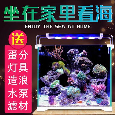 森森超白玻璃海水鱼缸 40小海缸 背滤缸 桌面水族箱 三湖缸 珊瑚